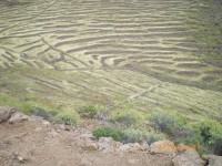 /album/kuvagalleria/imgp0333-jpg/