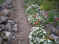 /album/kuvagalleria/imgp0334-jpg/