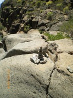 /album/kuvagalleria/imgp0350-jpg/