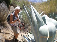 /album/kuvagalleria/imgp0354-jpg/